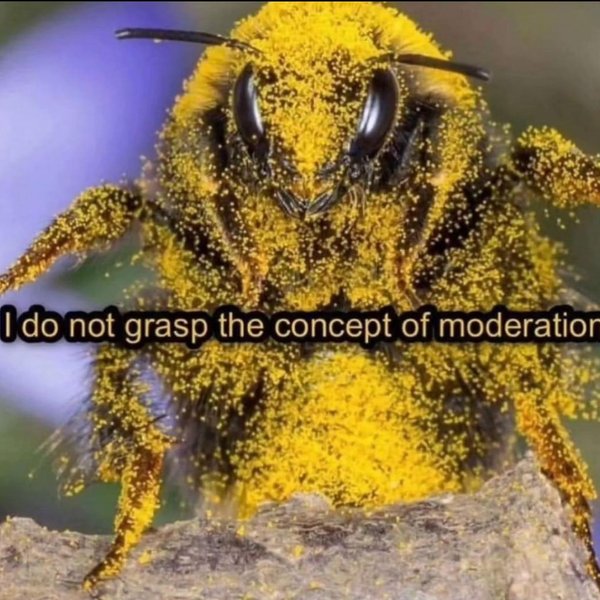 Thumbnail of p-ctobkaau1qq-4b30876343b54d63 1