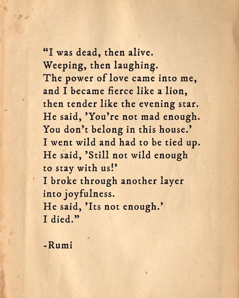 Thumbnail of p-csmarmwmhzo-4b35bf7995284b83 8