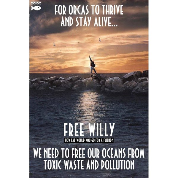 Thumbnail of p-cbjrpyvi8y1-4b523402a8c84533 1