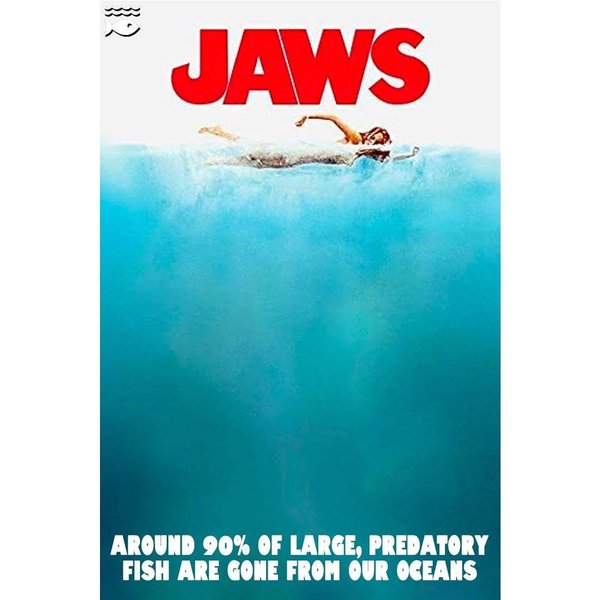 Thumbnail of p-cbjrpyvi8y1-4b523402a8c84533 2