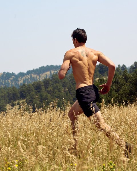 Thumbnail of p-ccrpnsxfv1-4b61f813d8f046cf 0