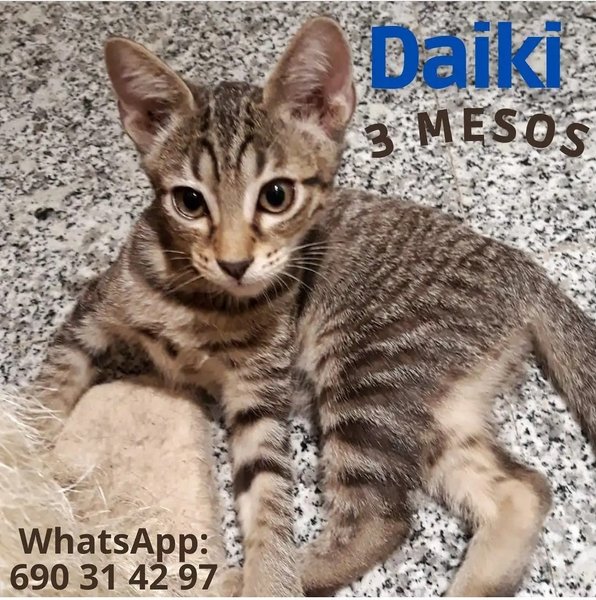 Thumbnail of p-crypjdtijhy-4b6f0cf65529414a 0