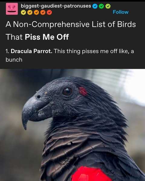 Thumbnail of p-dgzhcrzm3pf-4b78ba7f2ed74291 0