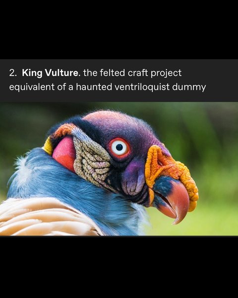 Thumbnail of p-dgzhcrzm3pf-4b78ba7f2ed74291 1