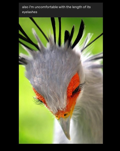 Thumbnail of p-dgzhcrzm3pf-4b78ba7f2ed74291 10