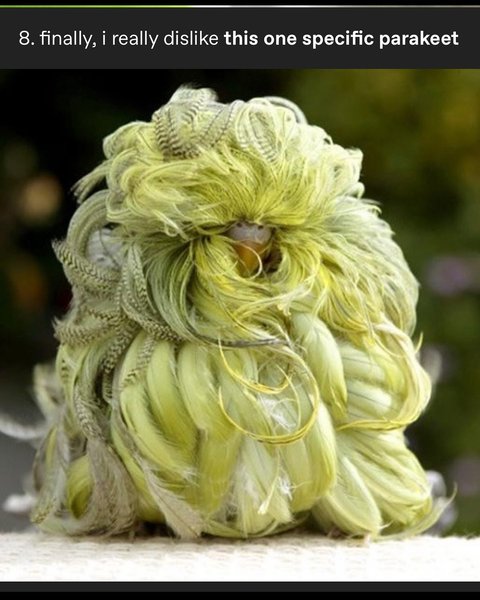 Thumbnail of p-dgzhcrzm3pf-4b78ba7f2ed74291 11