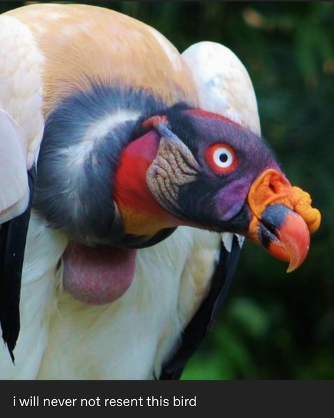 Thumbnail of p-dgzhcrzm3pf-4b78ba7f2ed74291 2