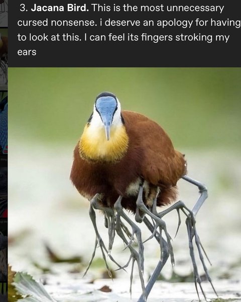 Thumbnail of p-dgzhcrzm3pf-4b78ba7f2ed74291 3