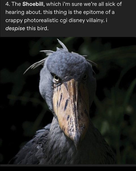 Thumbnail of p-dgzhcrzm3pf-4b78ba7f2ed74291 5