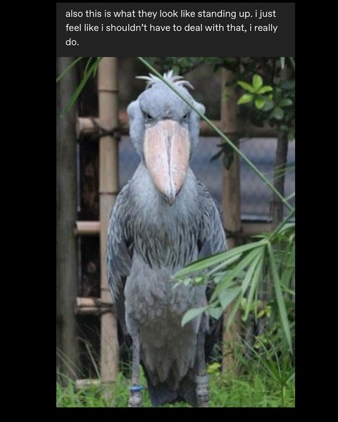 Thumbnail of p-dgzhcrzm3pf-4b78ba7f2ed74291 6