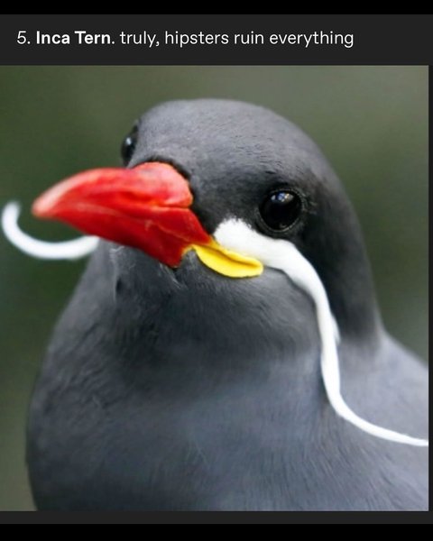 Thumbnail of p-dgzhcrzm3pf-4b78ba7f2ed74291 7