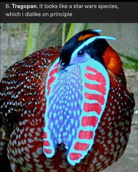 Thumbnail of p-dgzhcrzm3pf-4b78ba7f2ed74291 8