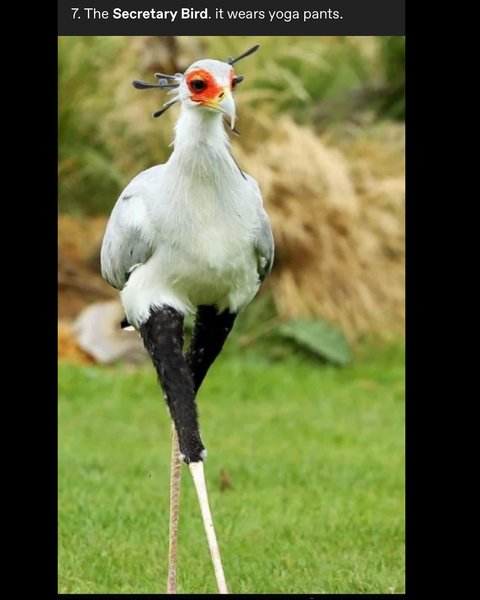 Thumbnail of p-dgzhcrzm3pf-4b78ba7f2ed74291 9