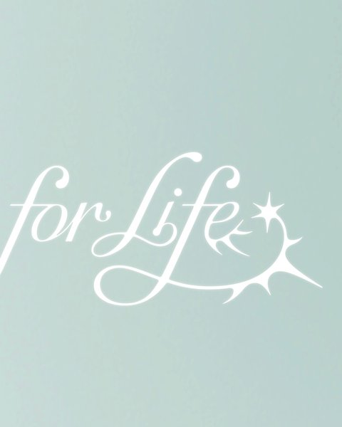 Thumbnail of df7d-s8pxhc-4b7dcb0fbe424c58 2