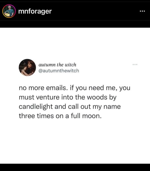 Thumbnail of p-ckwhjfhjrkv-4b92fe60e4984910 7