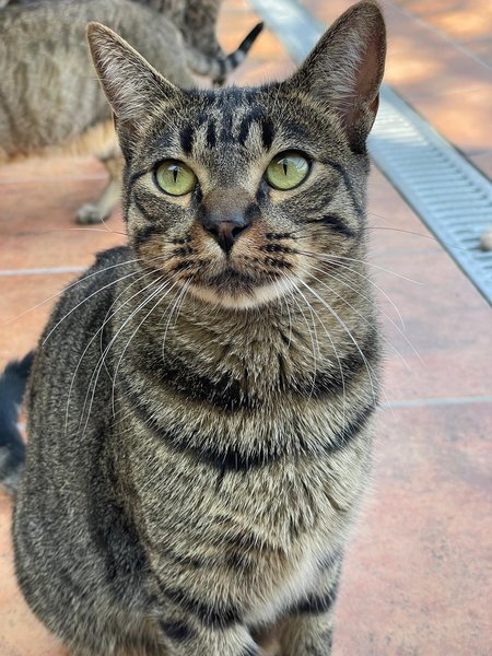 Thumbnail of p-dojntrfi7hs-4b93318578f24a3d 0