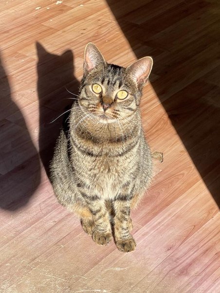 Thumbnail of p-dojntrfi7hs-4b93318578f24a3d 1