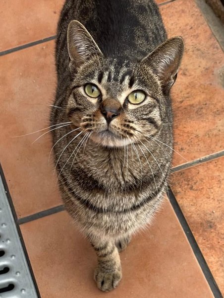 Thumbnail of p-dojntrfi7hs-4b93318578f24a3d 2