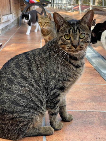 Thumbnail of p-dojntrfi7hs-4b93318578f24a3d 3