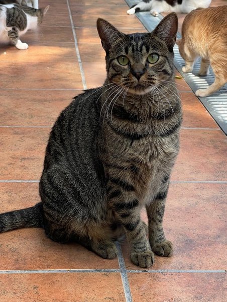 Thumbnail of p-dojntrfi7hs-4b93318578f24a3d 4