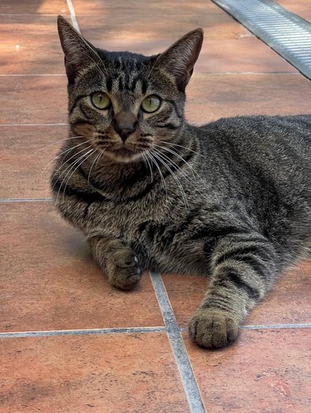 Thumbnail of p-dojntrfi7hs-4b93318578f24a3d 5