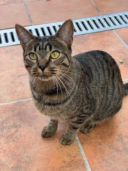 Thumbnail of p-dojntrfi7hs-4b93318578f24a3d 6