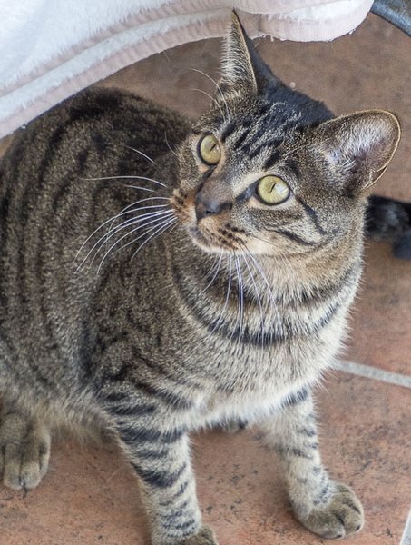 Thumbnail of p-dojntrfi7hs-4b93318578f24a3d 7