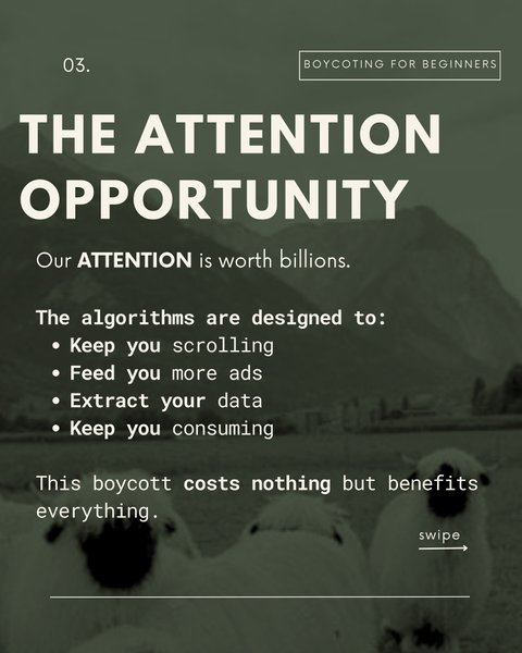 Thumbnail of dh8-wozonw-4b93bafe509a48b8 2