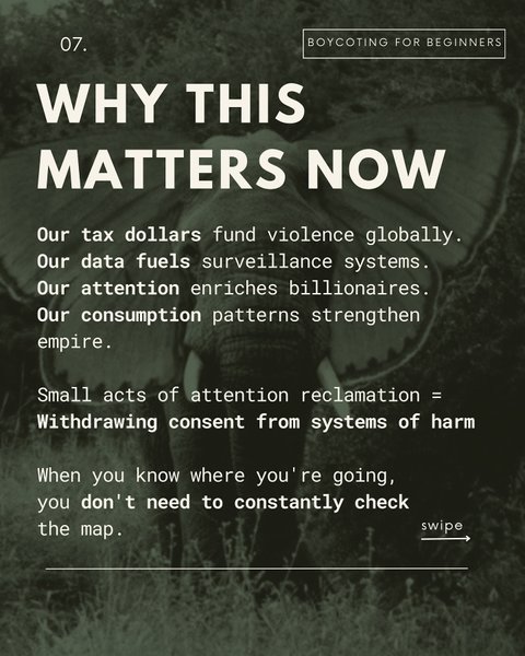 Thumbnail of dh8-wozonw-4b93bafe509a48b8 6