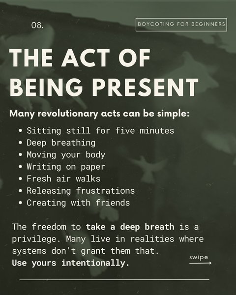 Thumbnail of dh8-wozonw-4b93bafe509a48b8 7