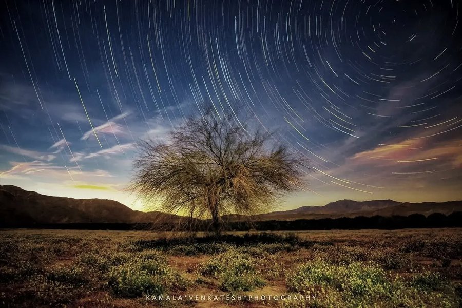 Thumbnail of p-ccycx1lvbjm-4ba229cc71f14308 6