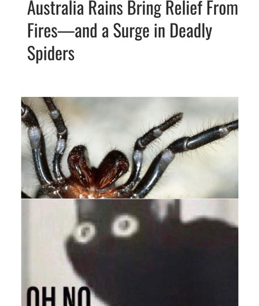 Thumbnail of b71t-lilq6r-4baabc88ce0146c4 0