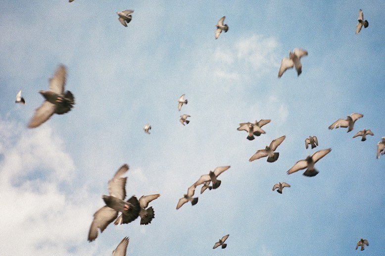 Thumbnail of cm-9motdzye-4c221074885d4b2a 0