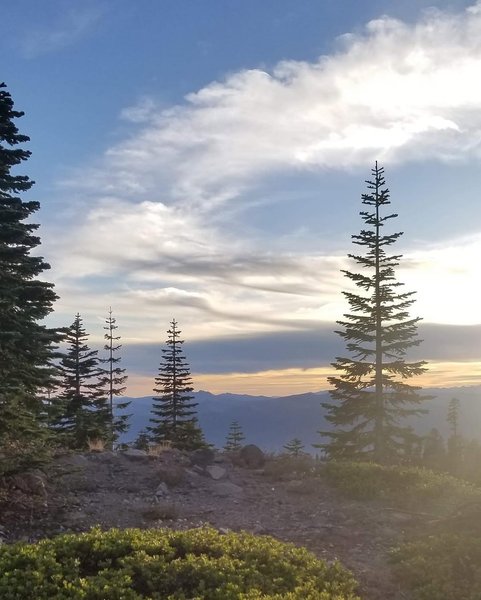 Thumbnail of p-b8crowagyho-4c298a2485ba4ff2 4