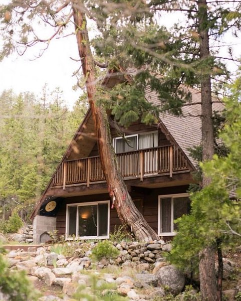 Thumbnail of p-b8crowagyho-4c298a2485ba4ff2 6