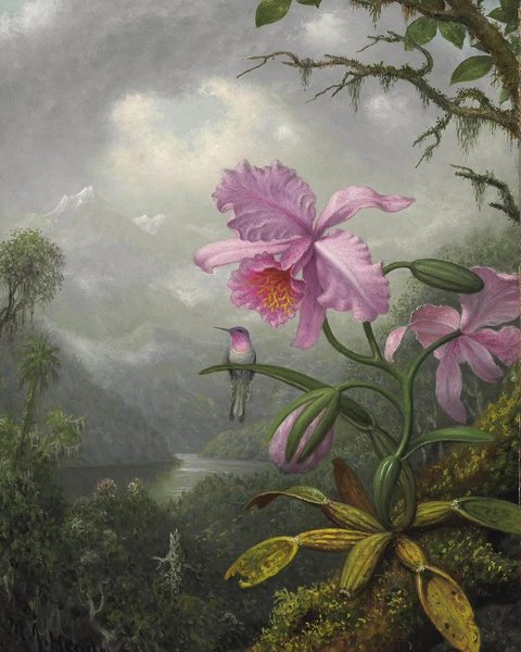 Thumbnail of www-instagram-com-p-dsmussvdpp 0