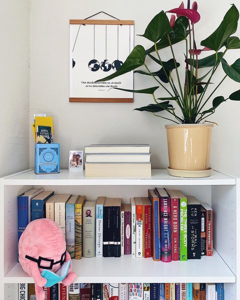 Thumbnail of p-cavyerbghbc-4c51453168364cc1 0