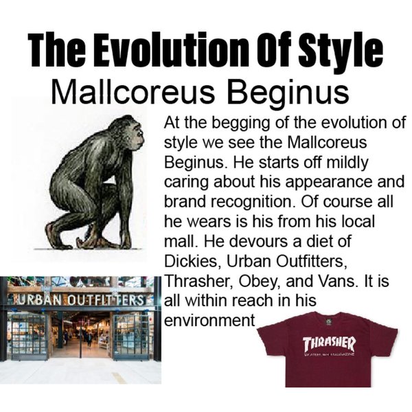 Thumbnail of zwc3a-io-4ca781f4e5be49f0 1