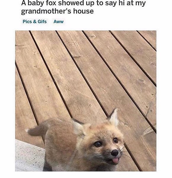 Thumbnail of p-b3p5zbfnbzi-4cb6e21e32ff48fb 0