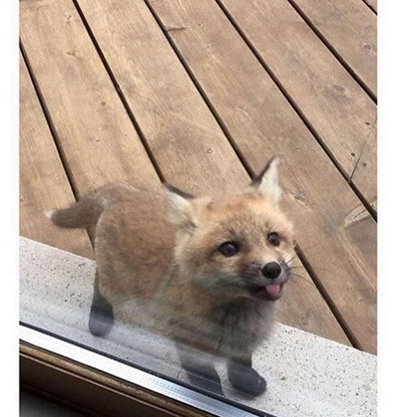 Thumbnail of p-b3p5zbfnbzi-4cb6e21e32ff48fb 1