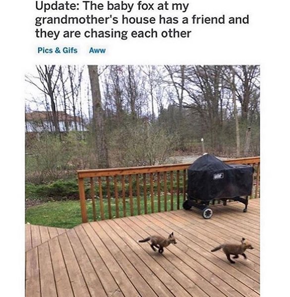 Thumbnail of p-b3p5zbfnbzi-4cb6e21e32ff48fb 2