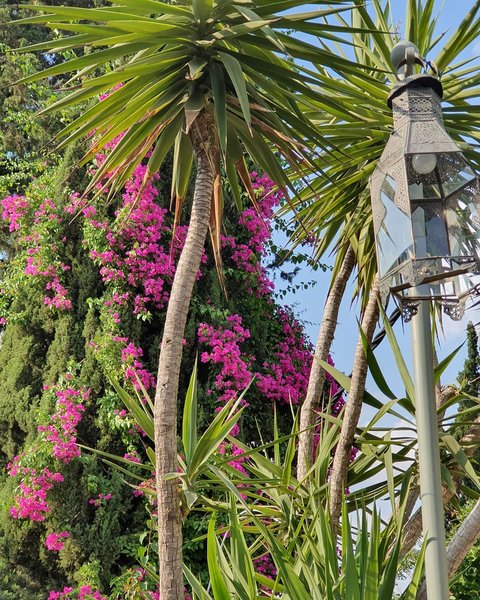 Thumbnail of byqqzc-brmi-4cf4e10bff6e494a 0