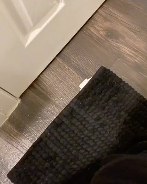 Thumbnail of p-cveyqdhs4bk-4d10f3c0ec4b4d21 1