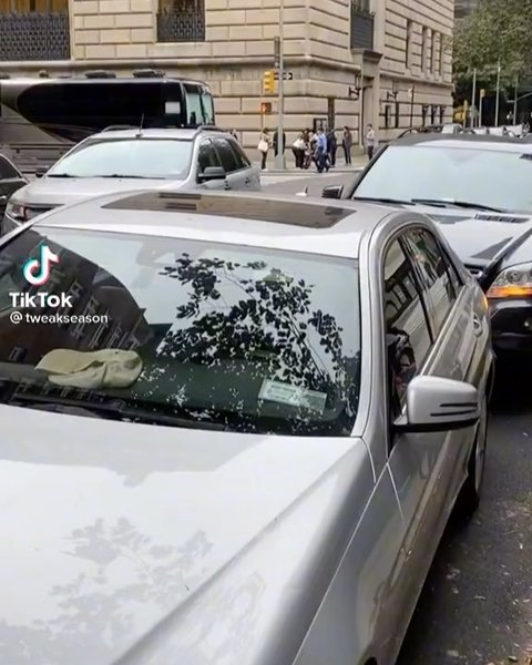 Thumbnail of p-cveyqdhs4bk-4d10f3c0ec4b4d21 8