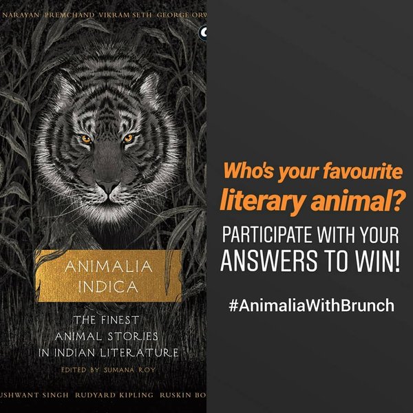 Thumbnail of p-bxmqixhjvsy-4d1732d16a5c4ae2 0