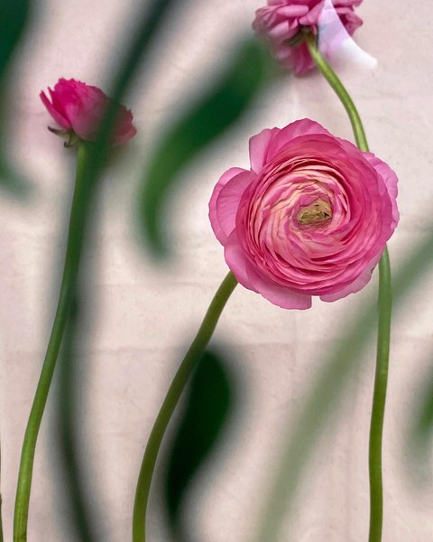 Thumbnail of p-cm2aqojmufb-4d45a6cd89eb4fb3 1