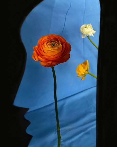 Thumbnail of p-cm2aqojmufb-4d45a6cd89eb4fb3 3