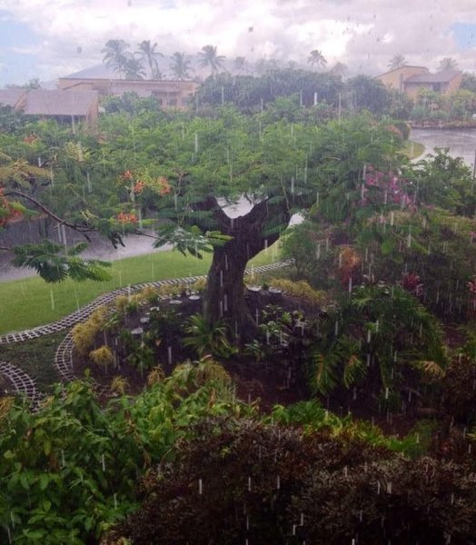 Thumbnail of p-cyckotoo2ux-4d93973759424f6b 4