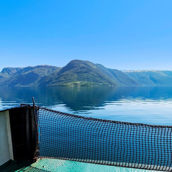 Thumbnail of p-cteuwpuud9f-4da3da97282a4f98 9