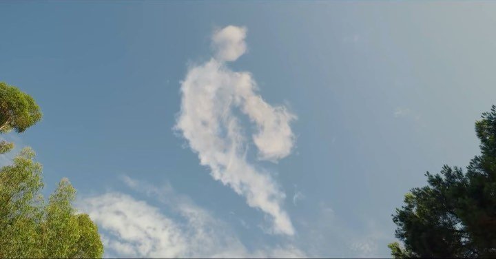 Thumbnail of p-cuvstrbhv5l-4db3197876dc4394 0